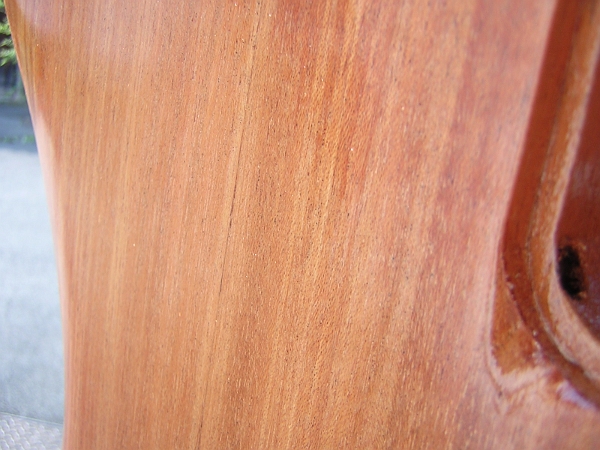 le corp qui seche.JPG